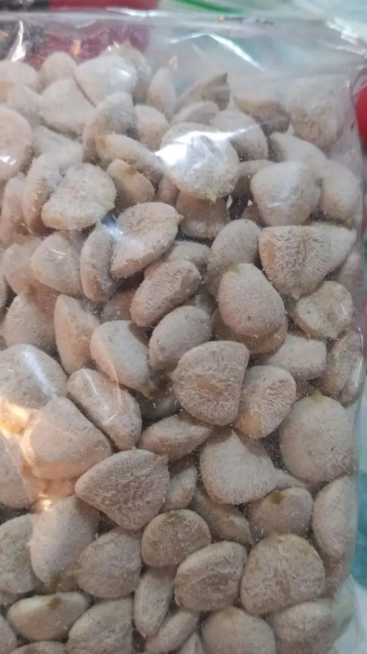 Nozes da índia 