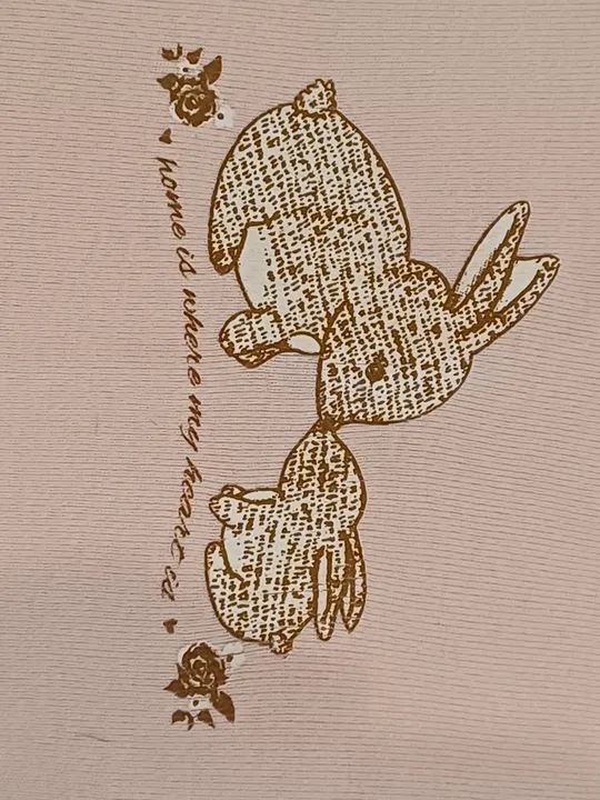 Lindo kit com 2 bodies manga curta tam GG - Foto 4