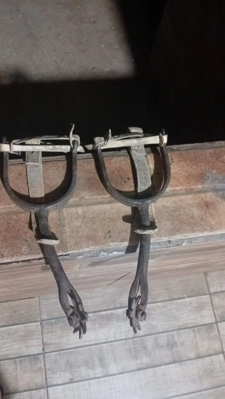 Espora de ginetiada