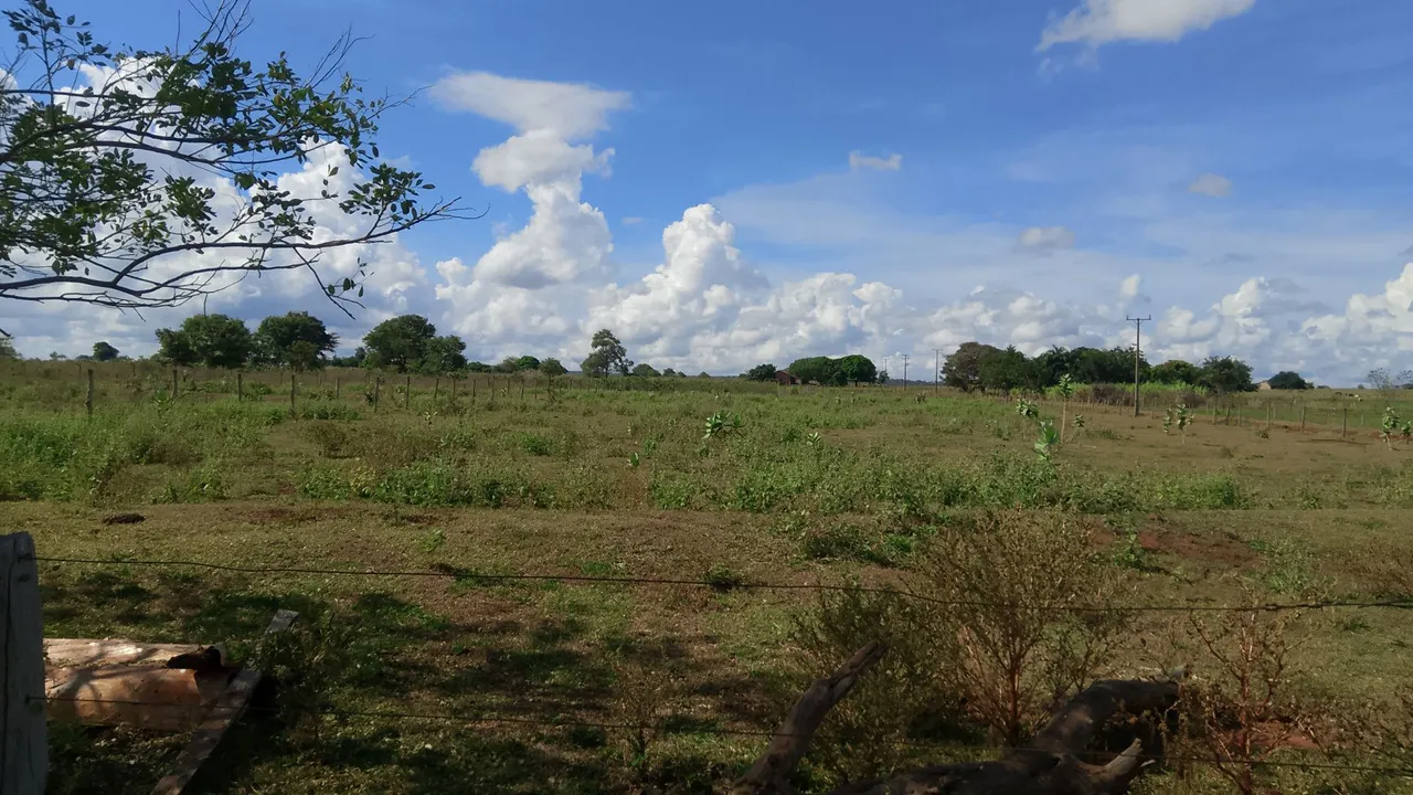Vendo 1 Hectare!!