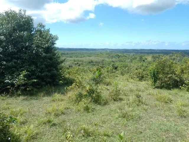 FAZENDA EM CAMAMU - 715 HECTARES - Foto 5