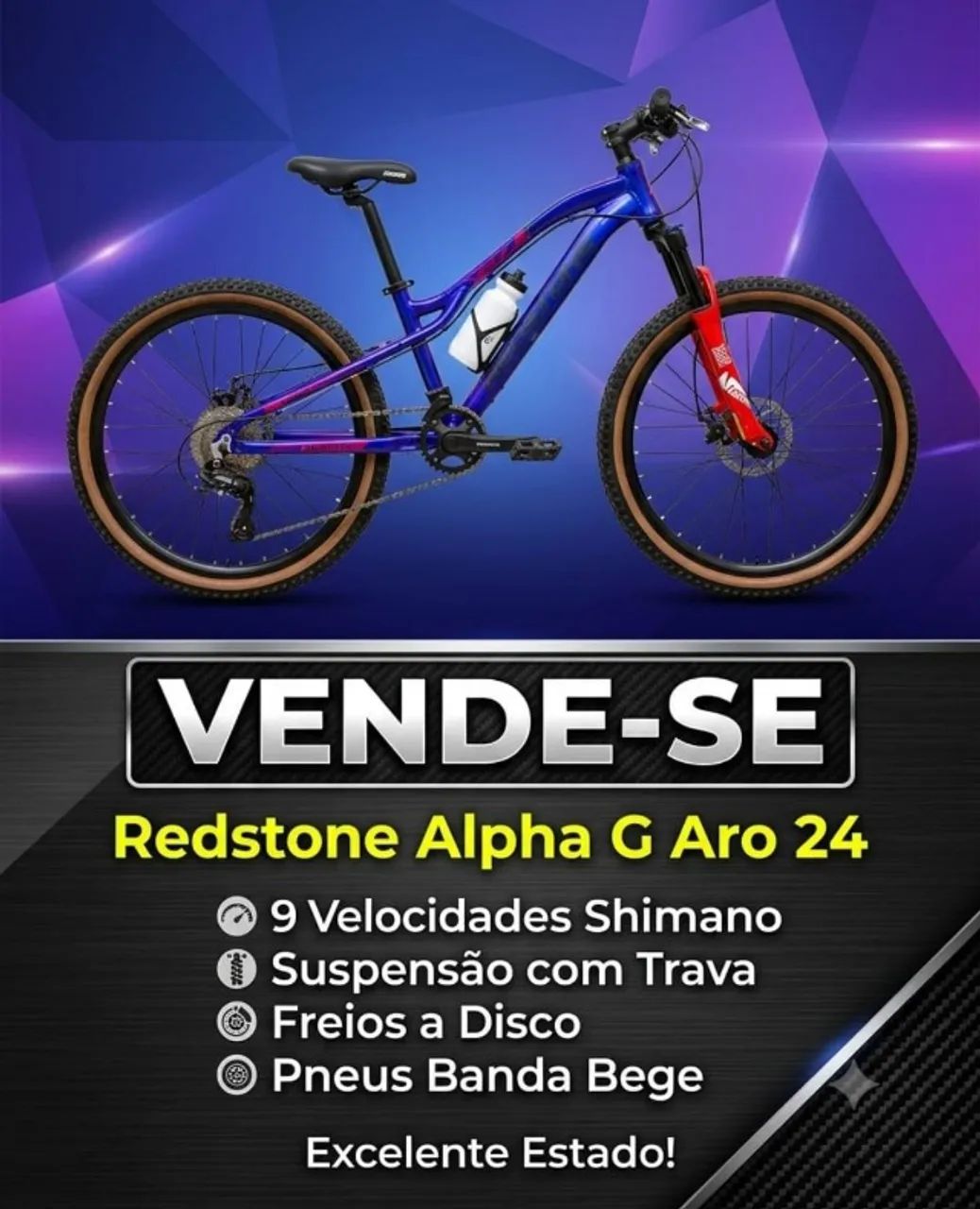Bicicleta