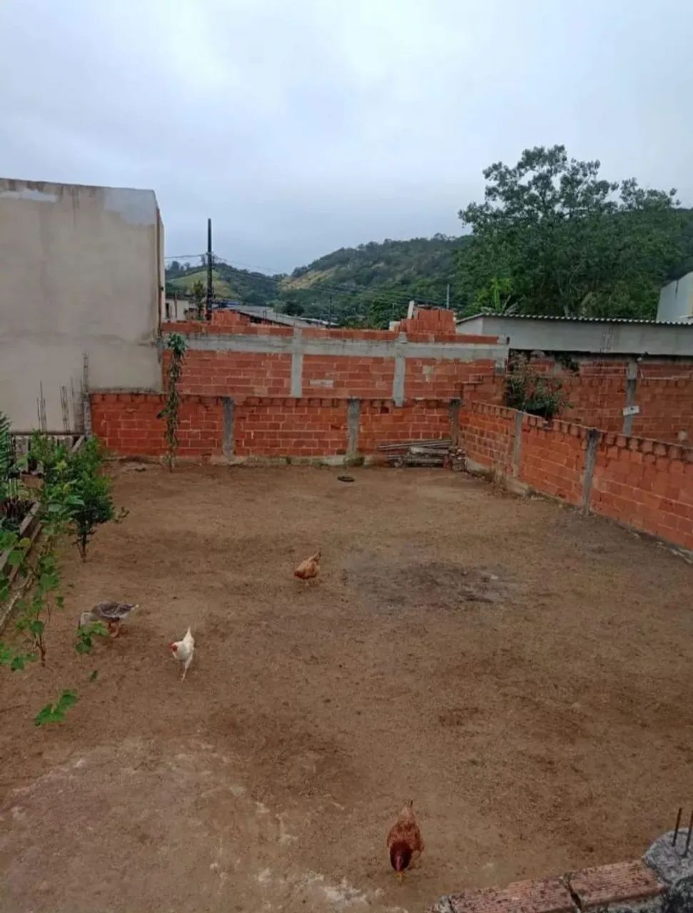 Terreno em Cosmos  - Foto 4