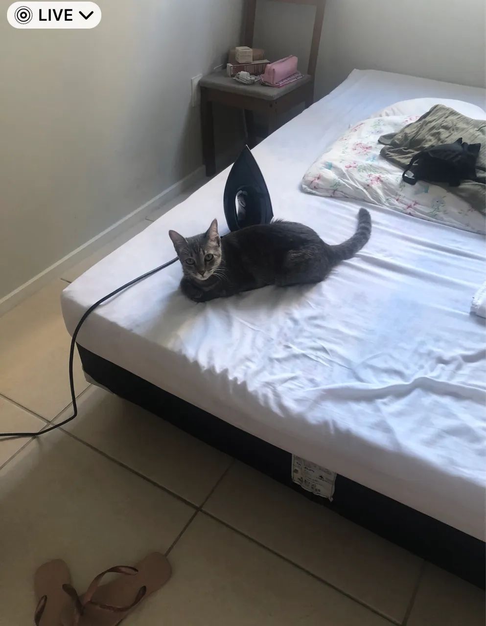 Quarto para moça  - Foto 3