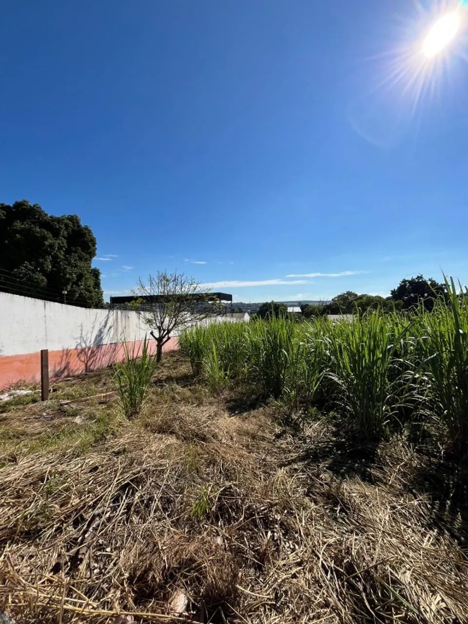 Terreno de 1525 m², marginal da BR  - Foto 2