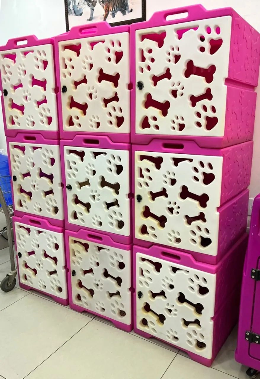 BANHO E TOSA COMPLETO  - Foto 5