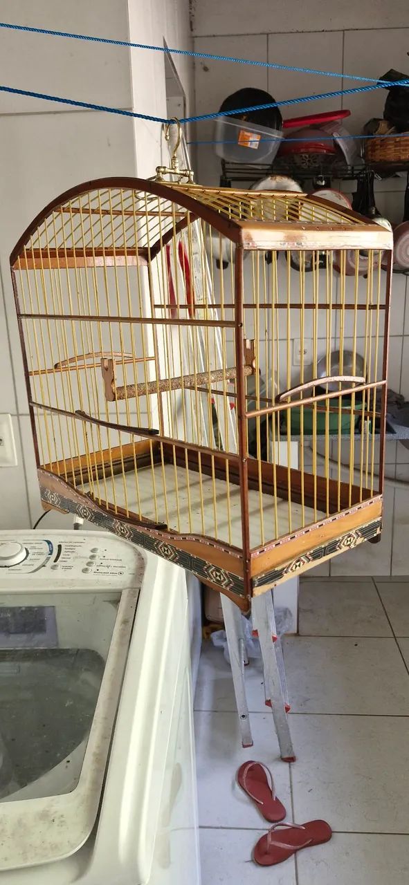 Gaiola  - Foto 5