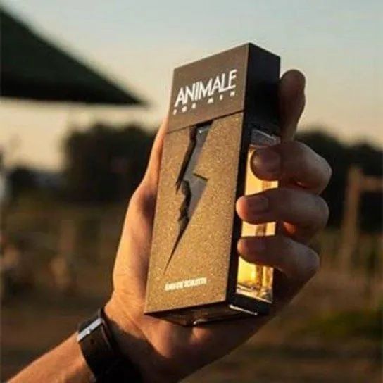 Perfume Animale For Man 100ml - Foto 3