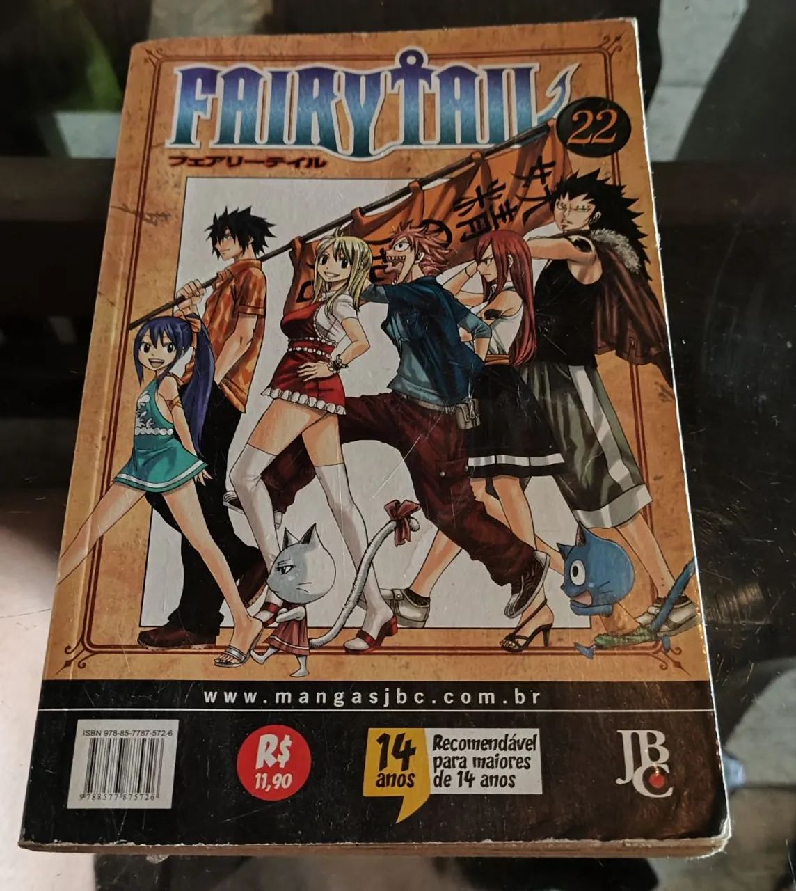 Fairy Tail Vol. 22