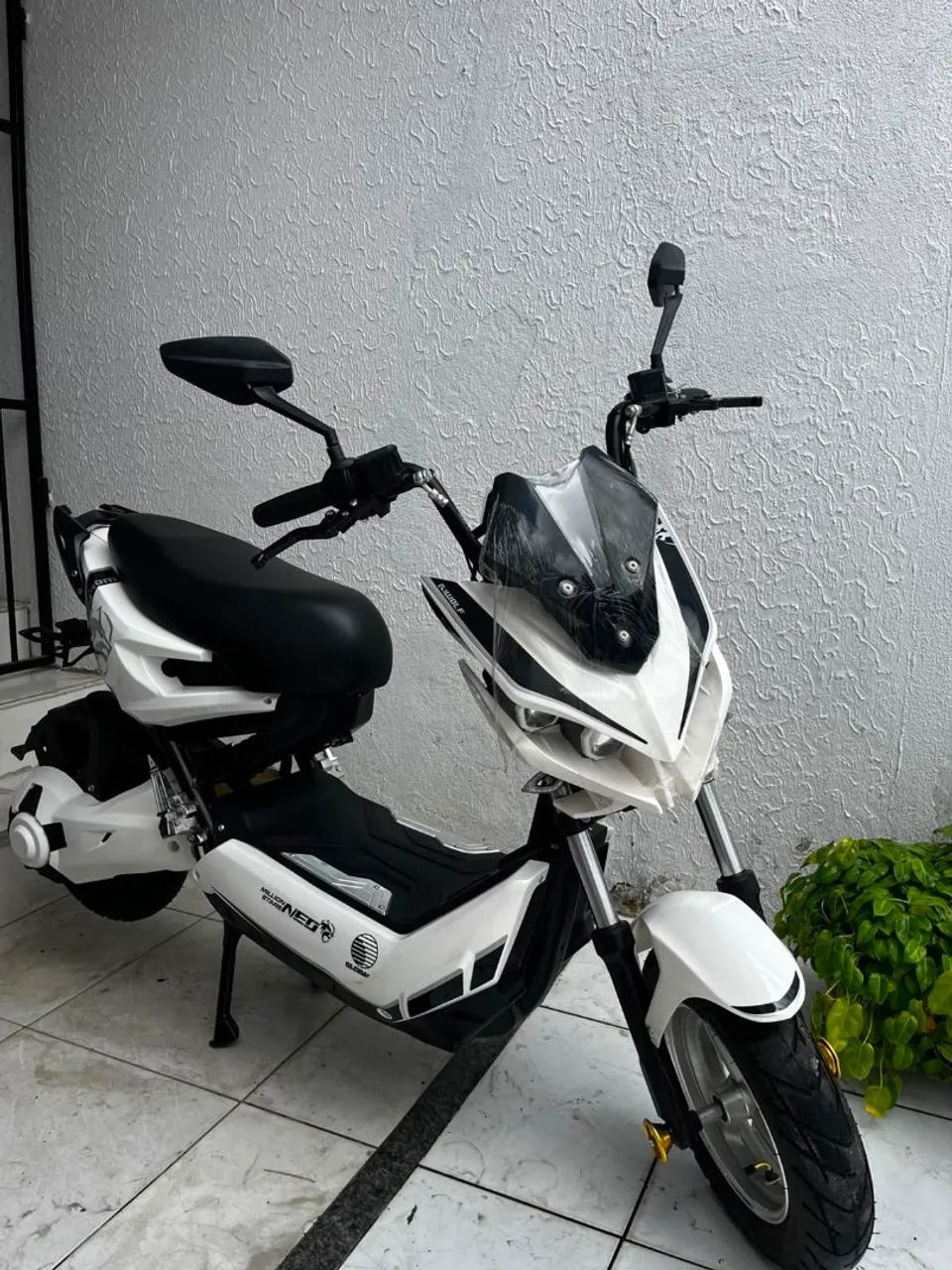 Moto eletrica