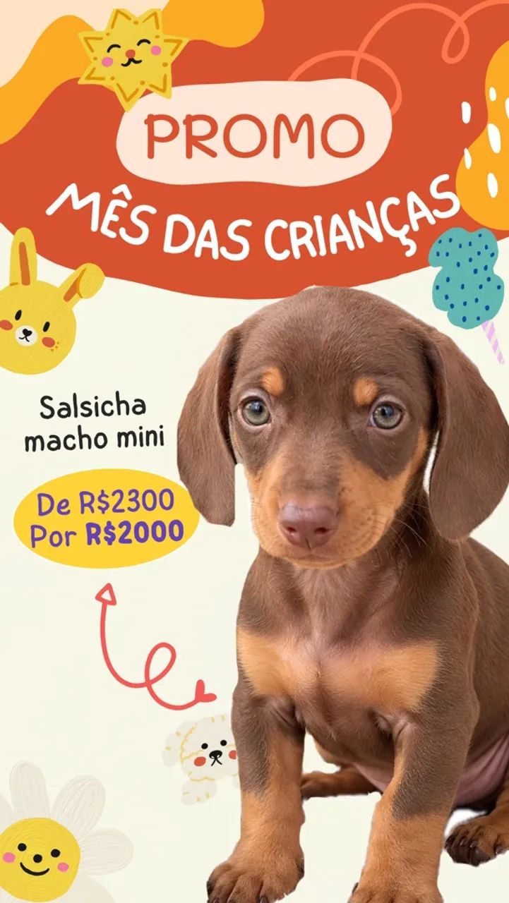 Salsicha chocolate