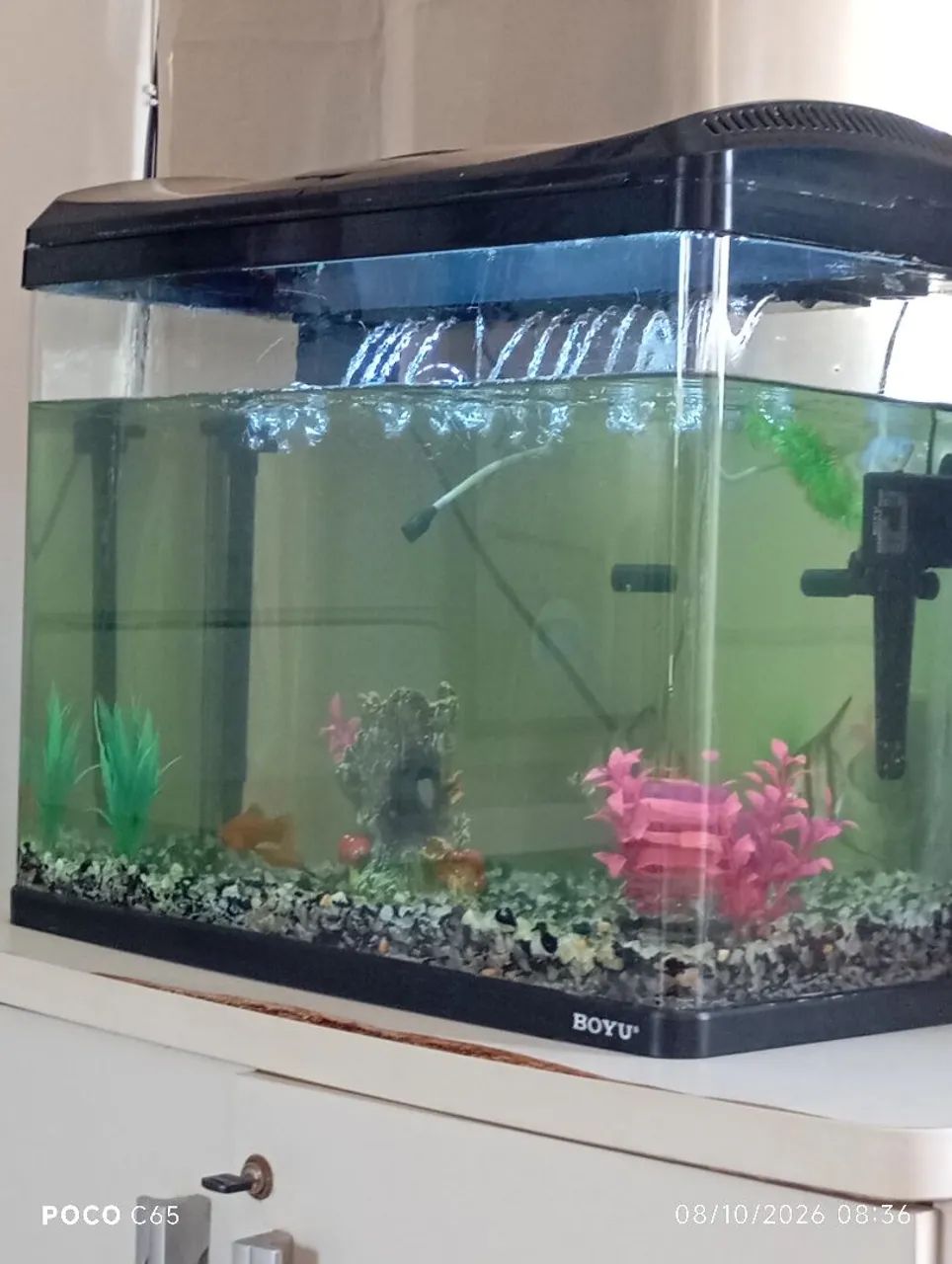 Vendo aquario 