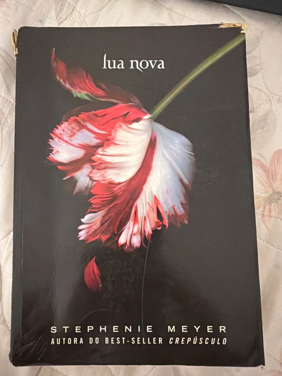 Livro Crepúsculo Lua Nova