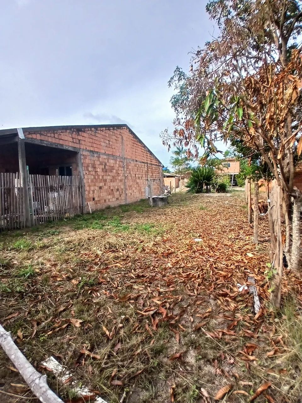 Foto - Belém - Telégrafo