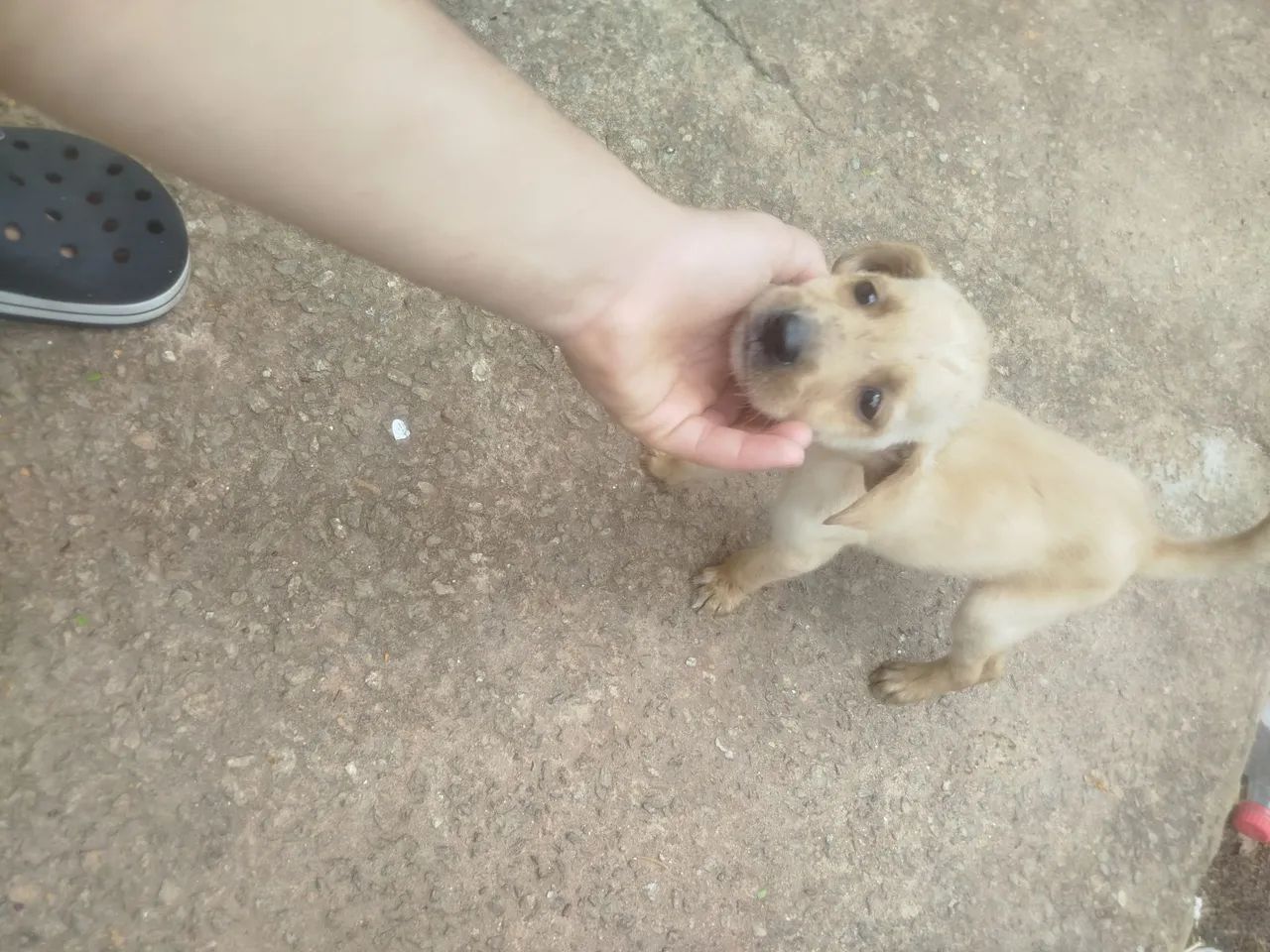 Doação 