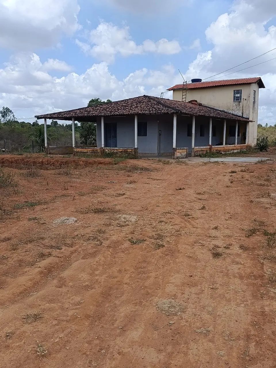Fazenda 18 hectares *97)em feira nova Pernambuco  - Foto 3