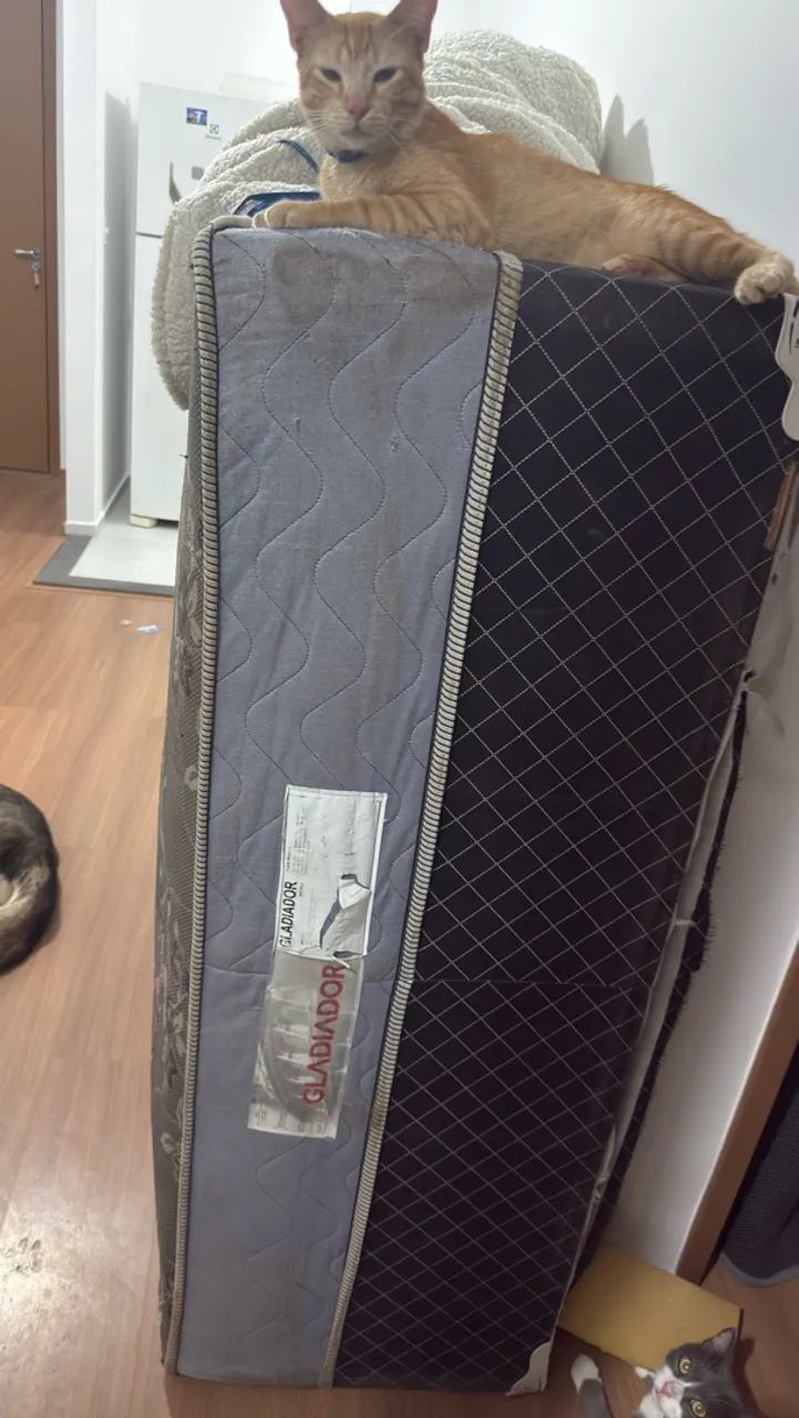 Vende uma Cama - Foto 2