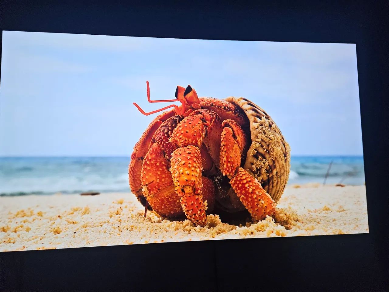 Tv lg oled c3