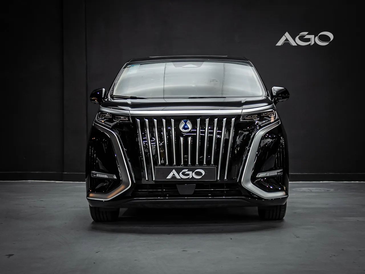Denza D9 AWD 2027, foto 2 de 17