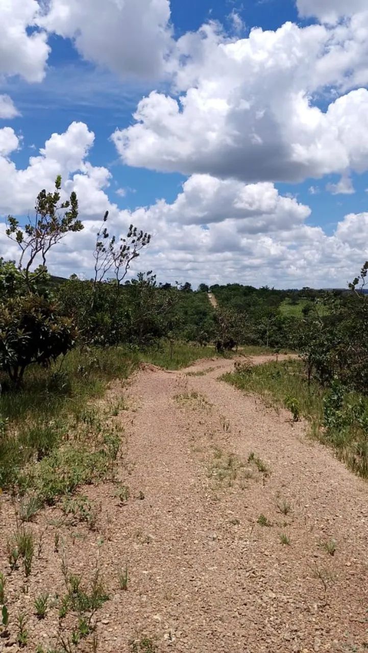 Vendo chácaras de 20.000mts 8.000 - Foto 3