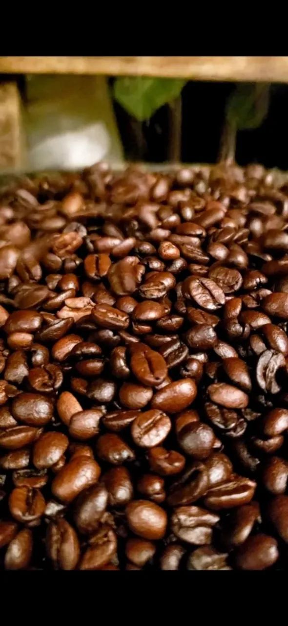 Café Artesanal (Moido ou em Grãos) - Foto 4