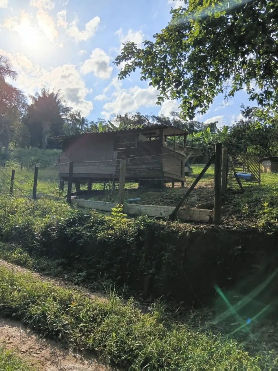 Chacara a venda  - Foto 5