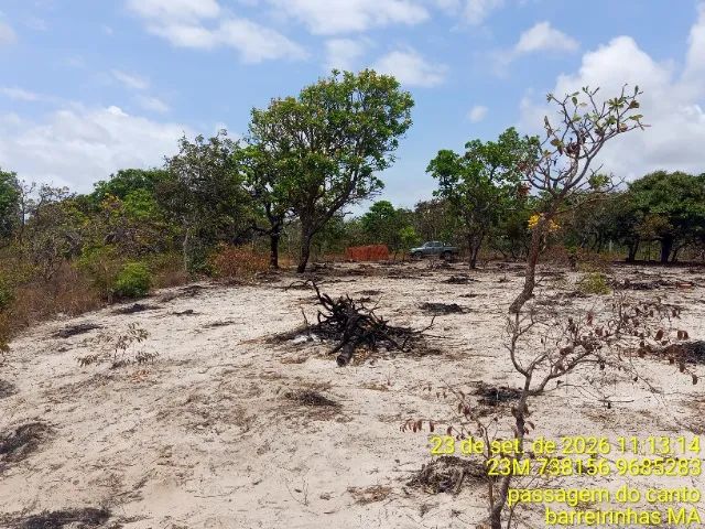 Terreno  - Foto 4
