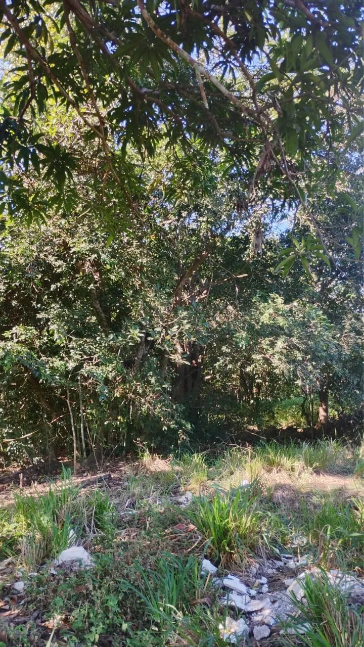 VENDE -SE CHÁCARA  - Foto 3