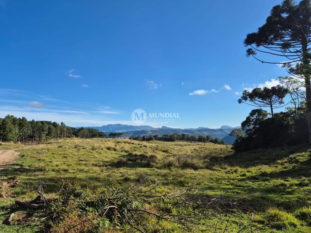 TERRENO RANCHO QUEIMADO 100 HECTARES COM 8MIL PINUS