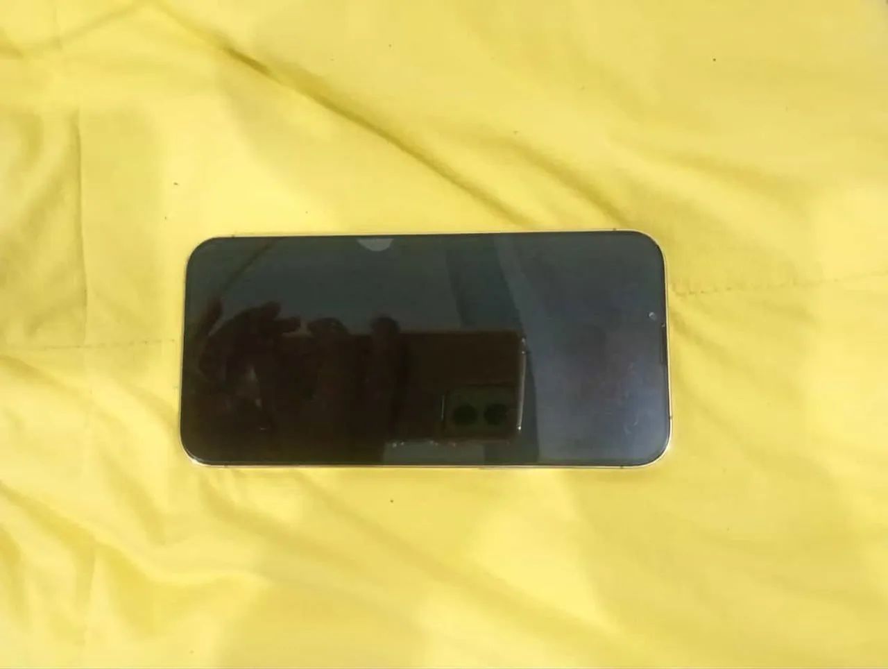 iPhone 13 Pro Max- excelente estado + capinha