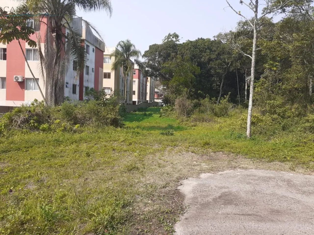 Terreno para Venda em São José, Forquilhas - Foto 4