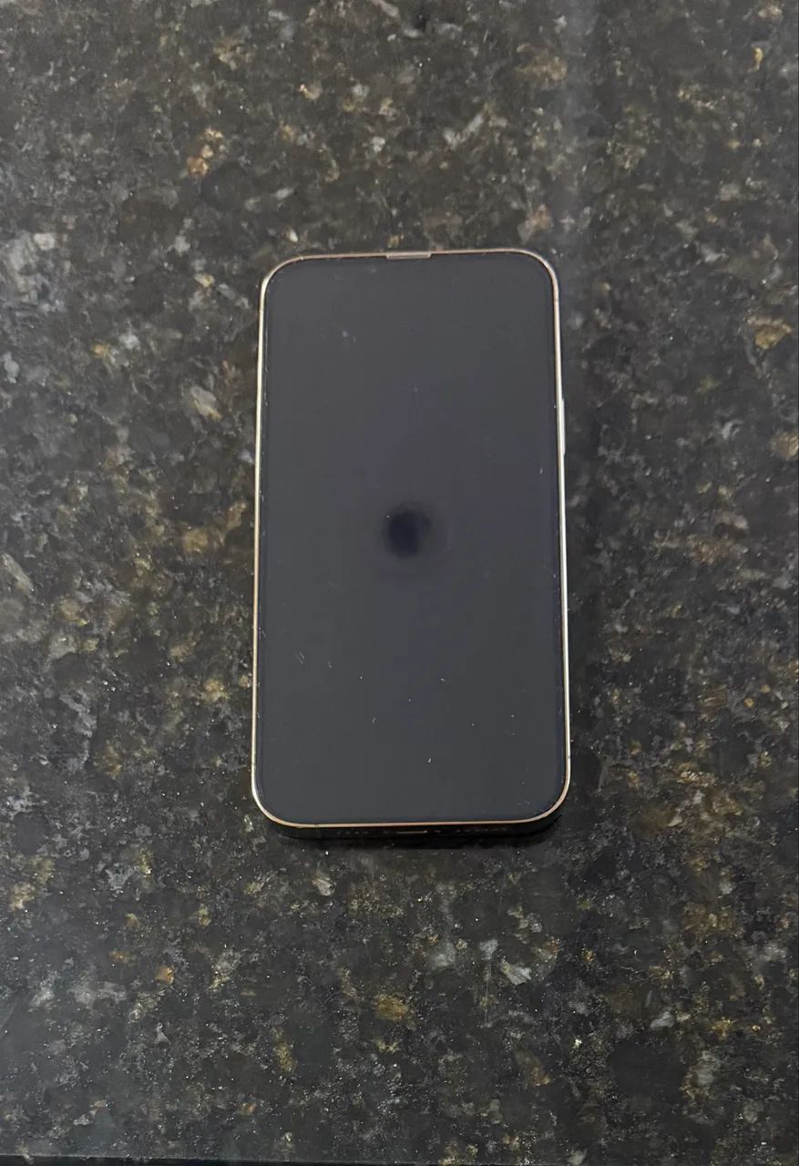 iPhone 13 Pro Max - Foto 2