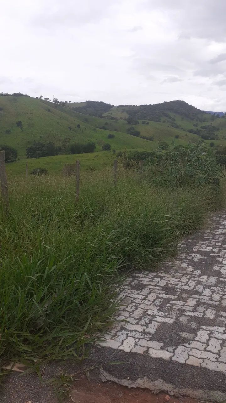 Terreno em Cambui, MG. - Foto 2