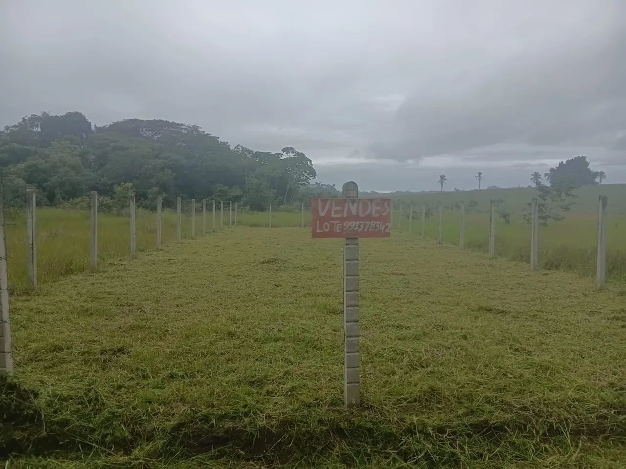 Lote em Salgado - SE - Foto 2