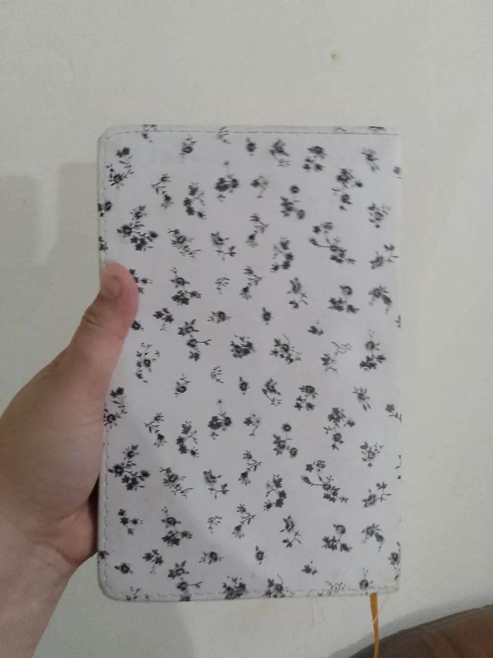Biblia para mulher seminova
