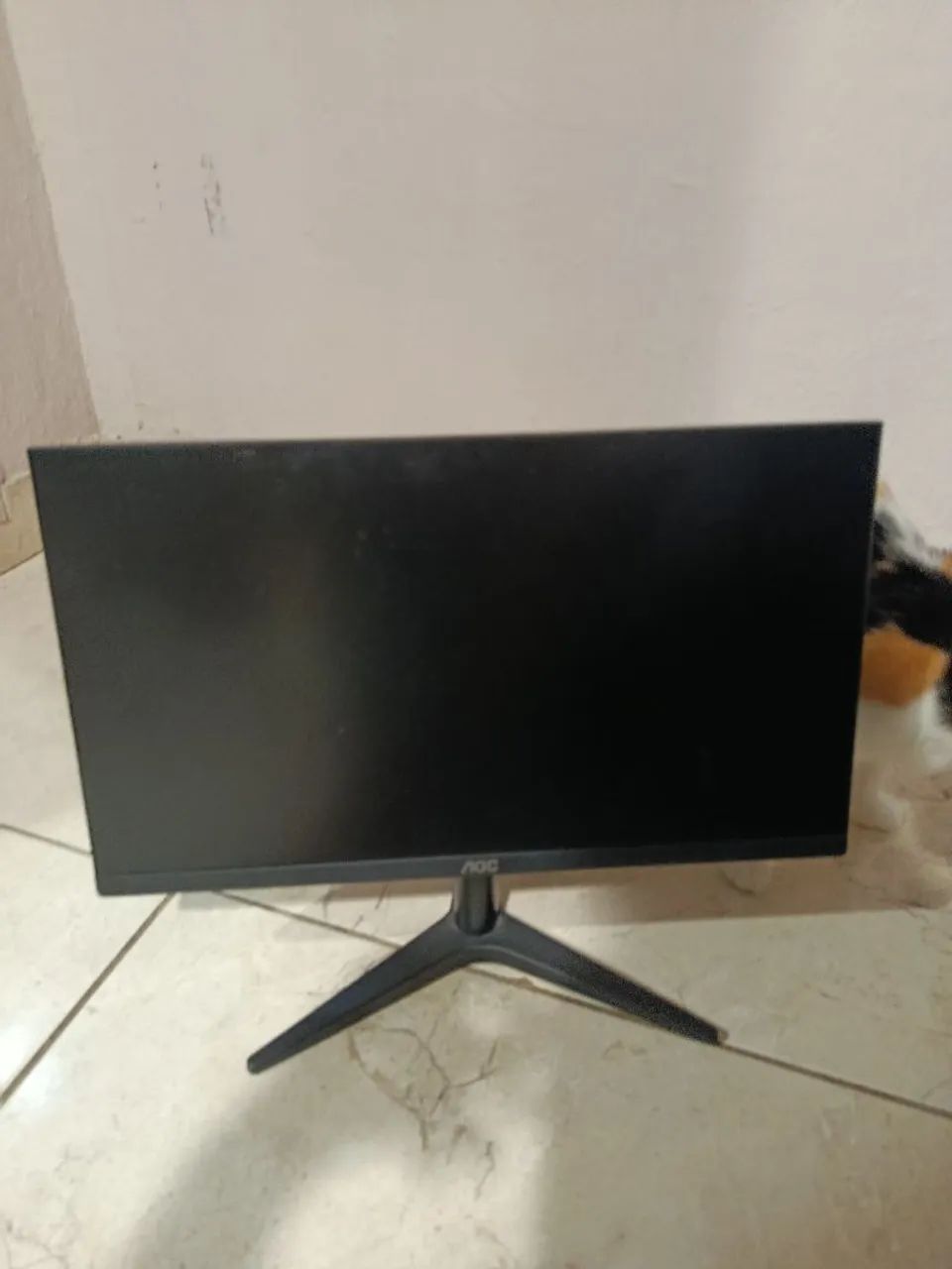 Monitor AOC 20 Polegadas 
