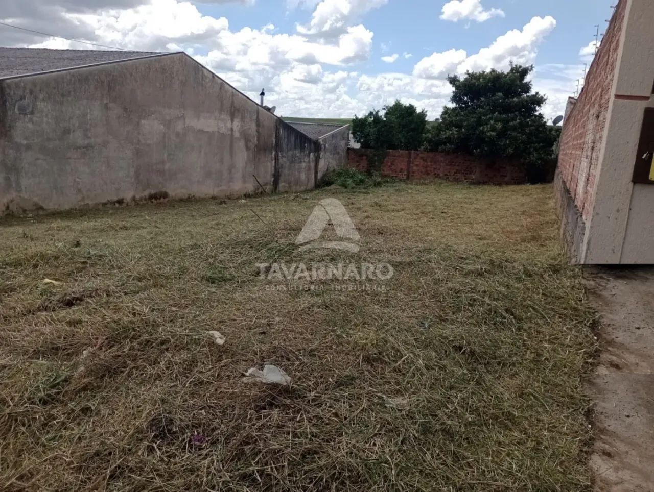 Terreno Padrão em Ponta Grossa - Foto 4