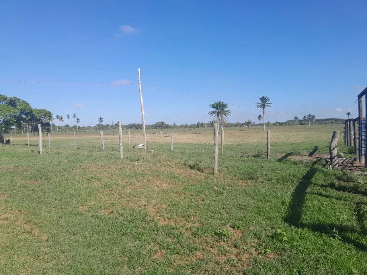 fazenda de Oportunidade - Foto 4