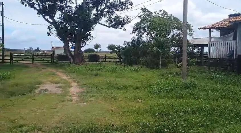Fazenda à venda em Cachoeira do Arari - Foto 5