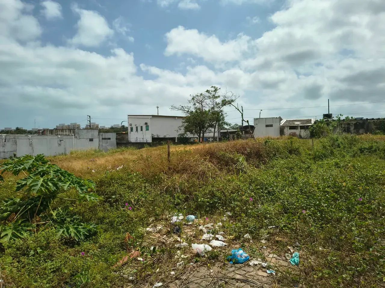 Terreno na Curva do 90 |  2.164 m² | Regularizado - Foto 5