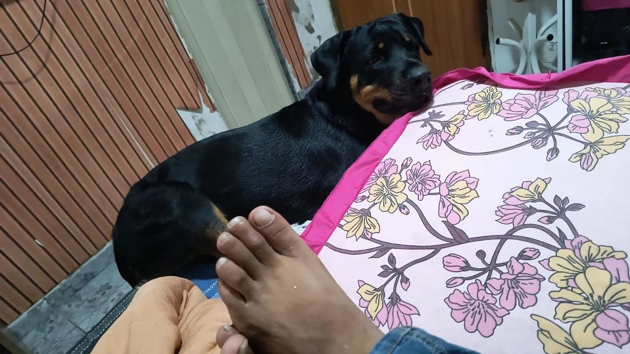 A procura de uma namorada  - Foto 5