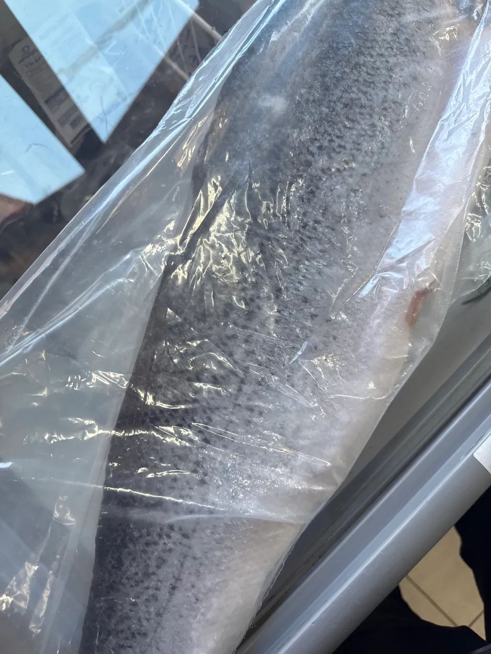 Salmão congelado muito novo  - Foto 3