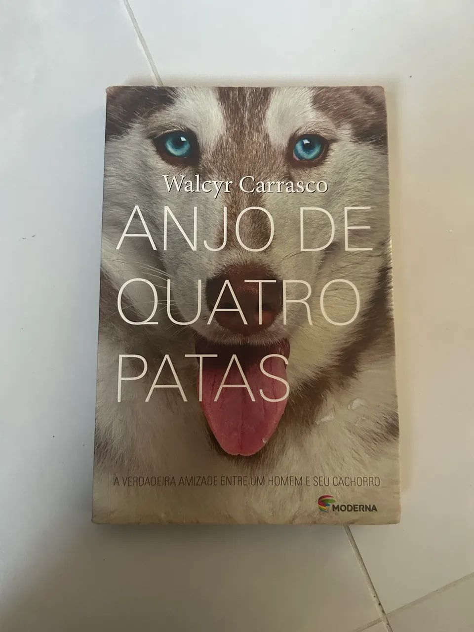 Anjo de Quatro Patas 