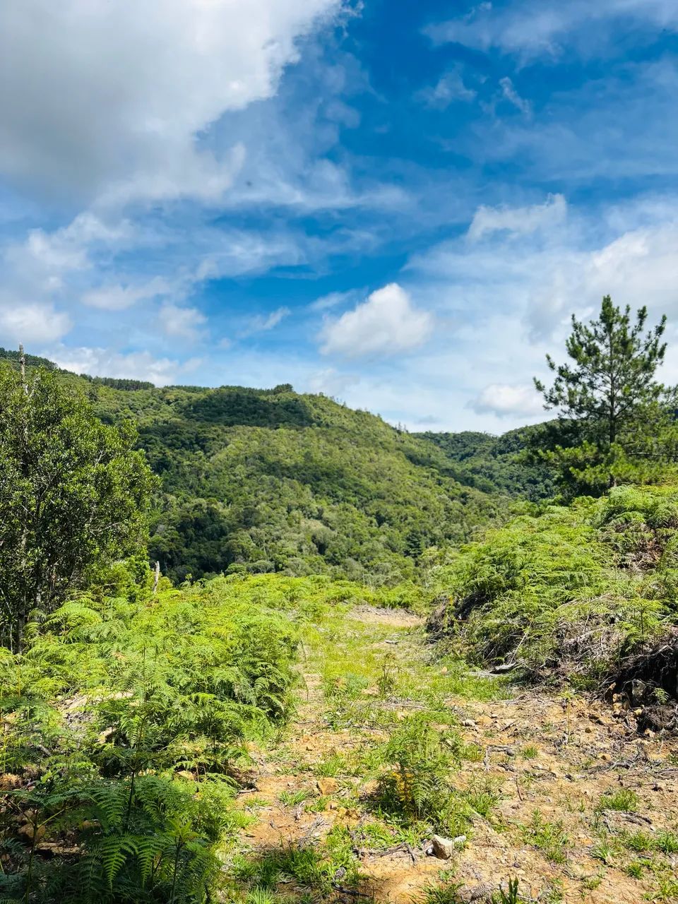 Lindo terreno em Alfredo Wagner  - Foto 2
