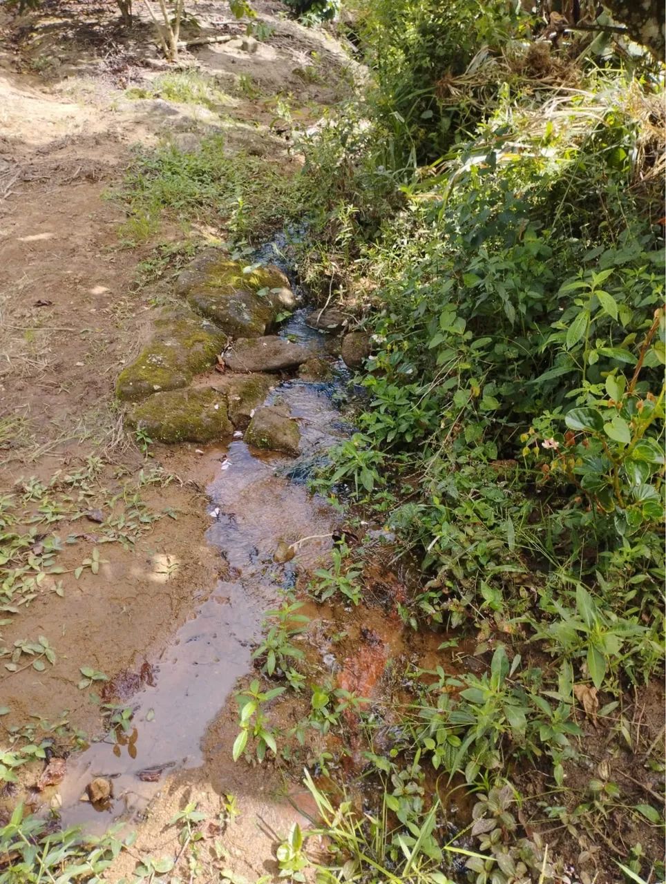 SÍTIO À VENDA - PENDANGA / IBIRAÇU - ES - Foto 2