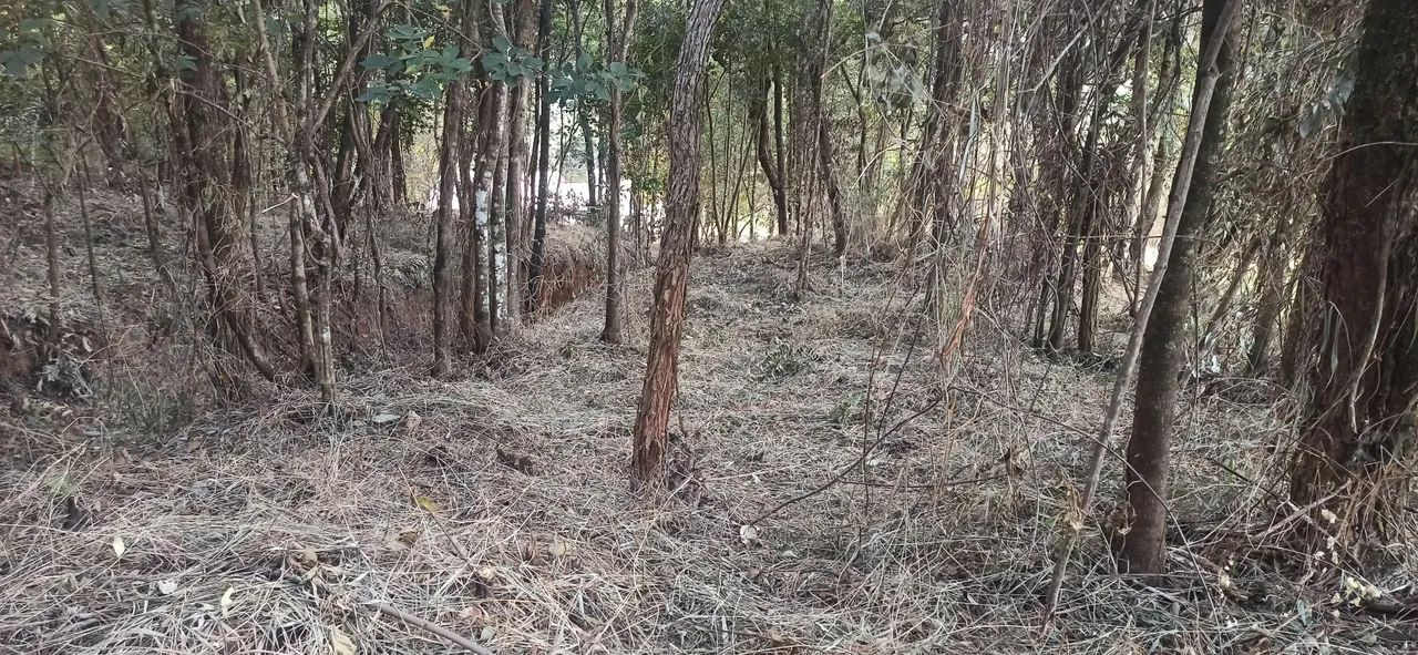 Oportunidade terreno  - Foto 5