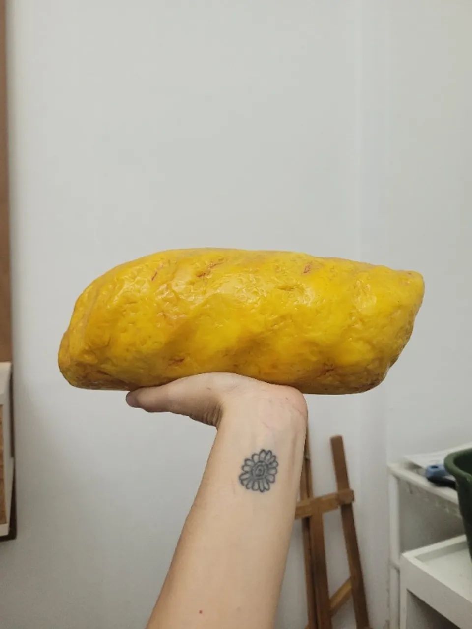 Réplica músculo e gordura