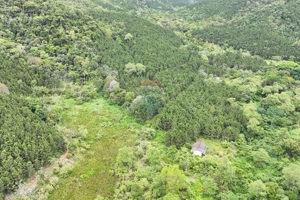 Fazenda N. Sra. de Guadalupe - Foto 4