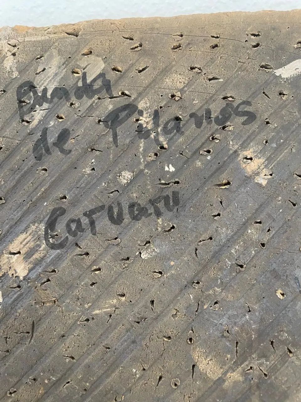 ARTE - Foto 4