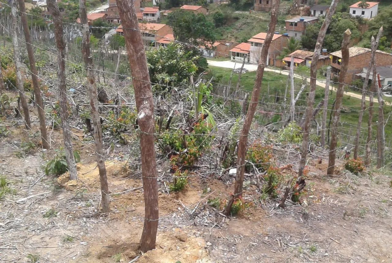Vendo  ou troco Terreno em Saubara 